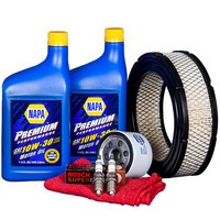 Winco 16200-009 Maintenance Kit (PSS20) Vanguard 35HP