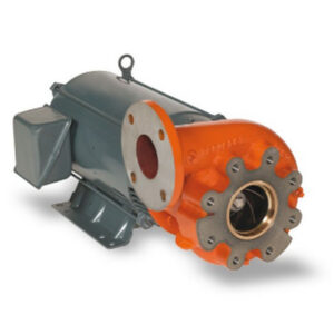 Berkeley Pump B54586 1-Ph 1.5HP T Series B3TPMS Cast Iron NPT