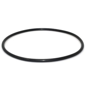 Pentek 151122 O-Ring (O.E.M.) Big Blue Filter Housing